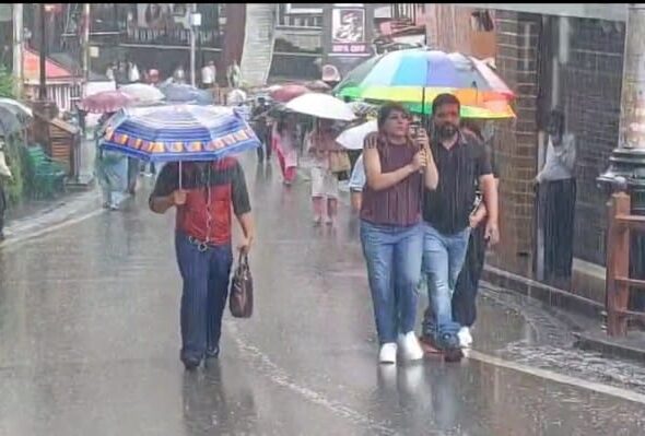 WhatsApp Image 2025-07-01 at 1.49.46 PM